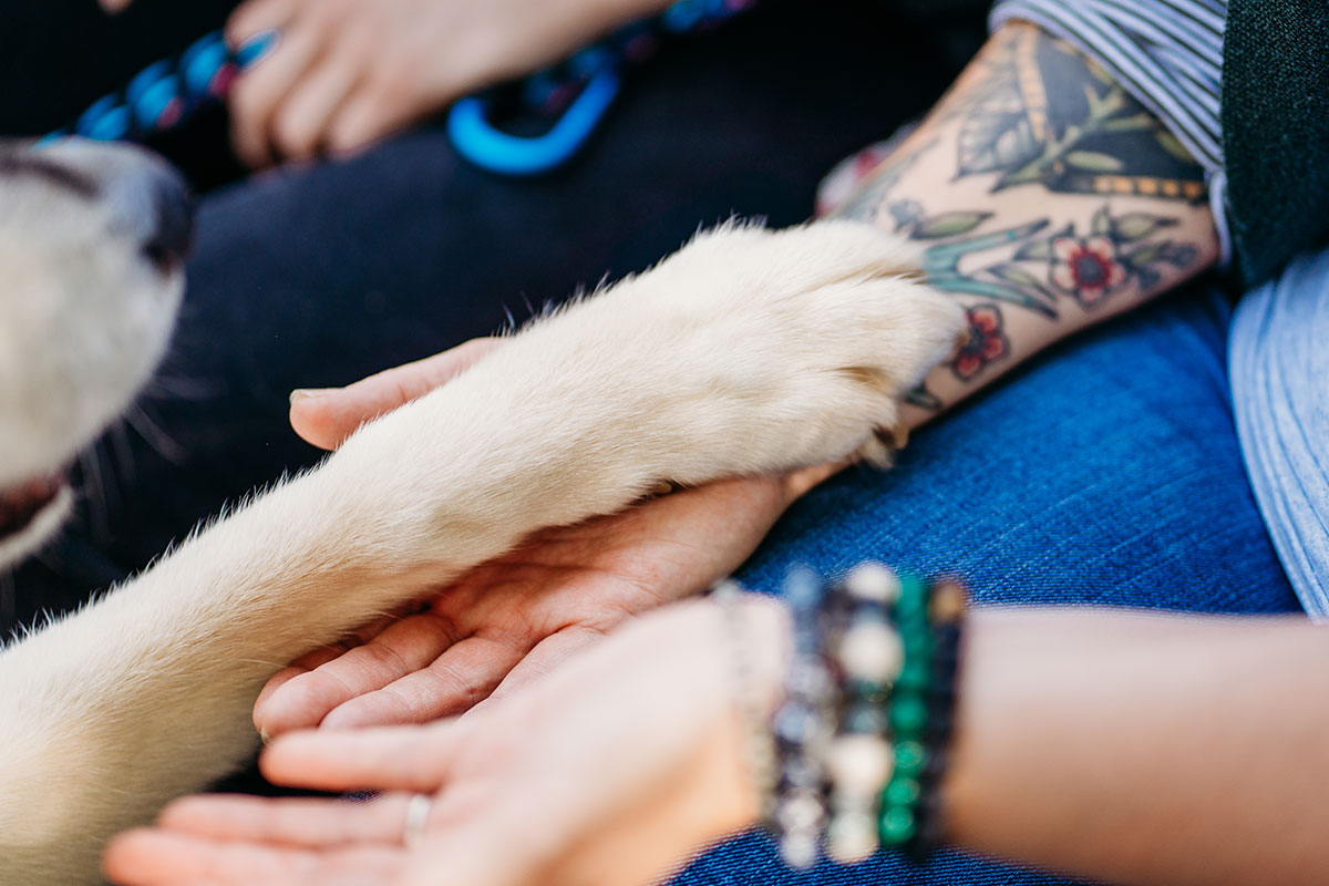 Contact Berks Pet Care