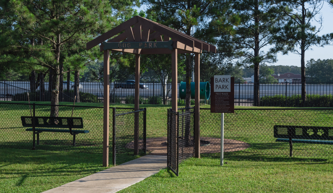Dog Park Safety: Tips for Your First Trip With Your Furry Friends