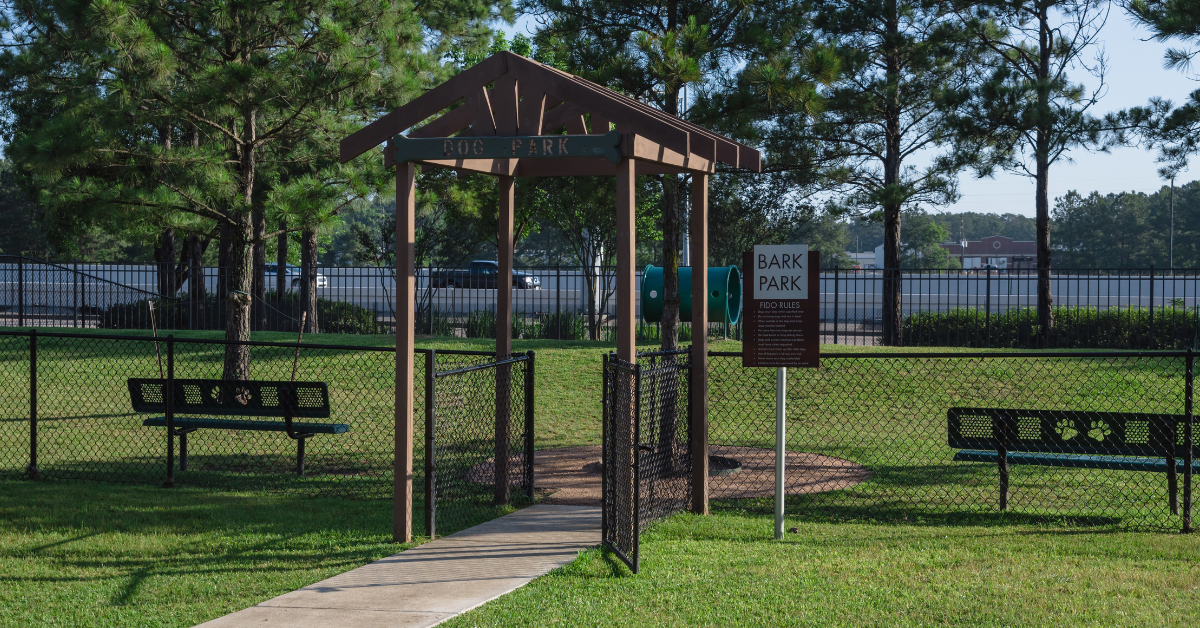 Dog Park Safety | Berks Pet Care