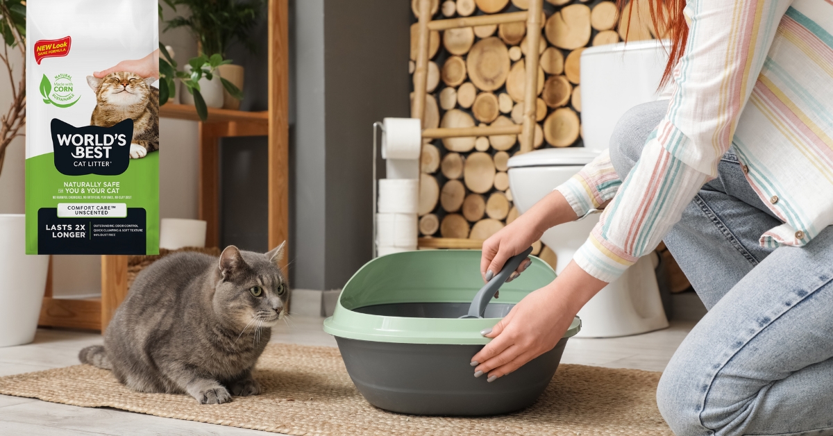 Worlds Best Cat Litter | Berks Pet Care